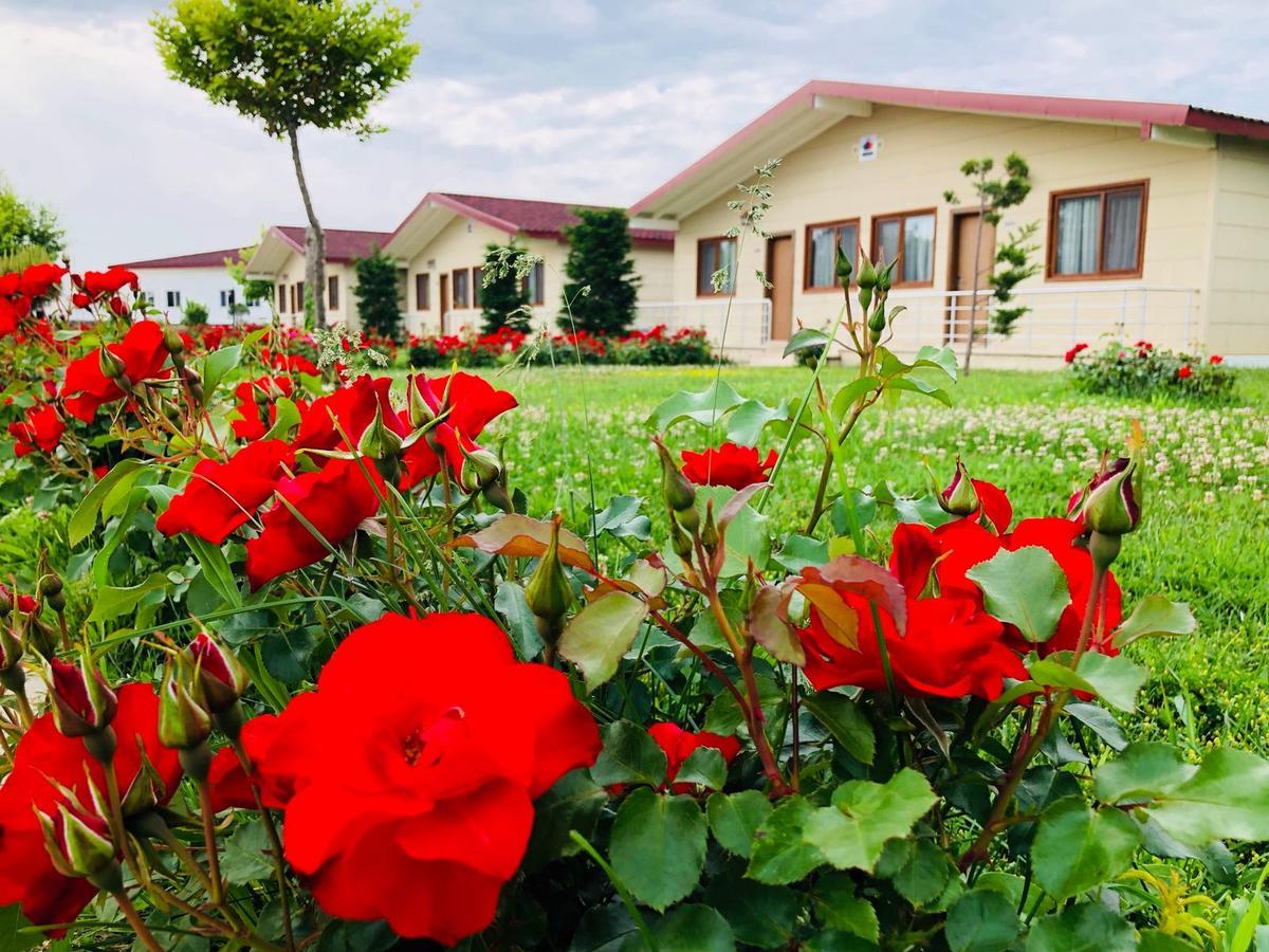 Rizom Tatil Koyu Hotel Samanli Exterior foto